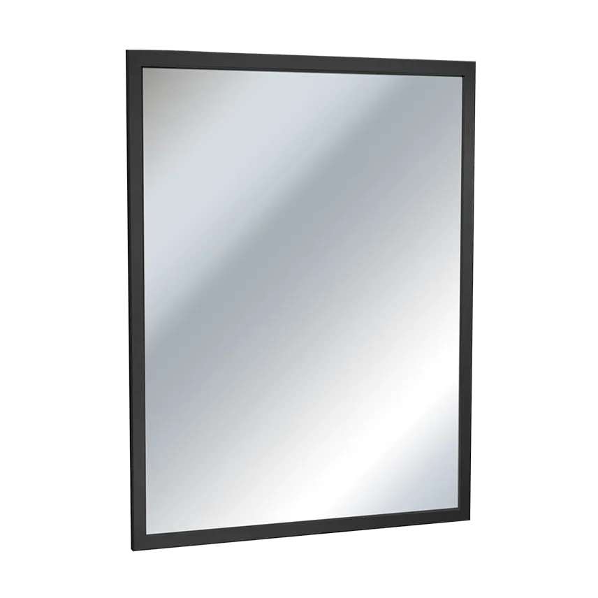 ASI 0600 Mirrors