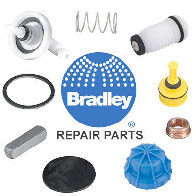 Bradley 269-1917 Gasket: Spout