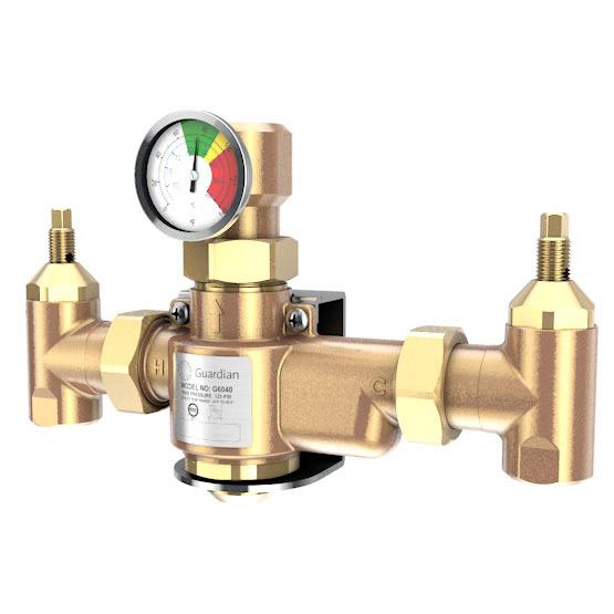 Guardian G6040 Thermostatic Mixing Valve, 50 Gallon/189 Liter Capacity - Replaces Guardian G3800LF